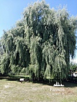 IMG_20180715_134924