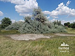 IMG_20180715_135948