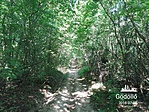 IMG_20180717_093517