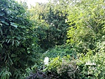 IMG_20180717_164456
