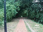 IMG_20180718_160425