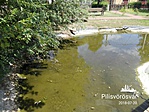 IMG_20180720_124119