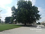 IMG_20180723_152939