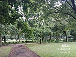 IMG_20180723_170313