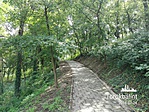 IMG_20180724_135906