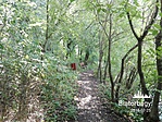 IMG_20180725_121010