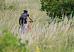 IMG_2961_1