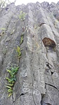 IMG_20180715_103641