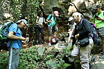 IMG_0897
