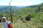 IMG_0913