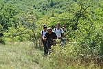 IMG_0914