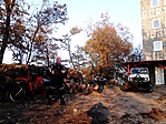 2015