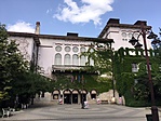 IMG_0558