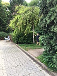 IMG_0559