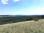 IMG_1802