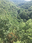 IMG_2457