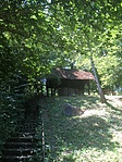 IMG_2469