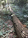 IMG_1104