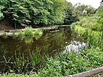 IMG_20180624_113740-01