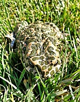 IMG_20180714_093434-01