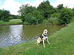 DSC01081