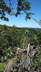 IMG_20180630_140316