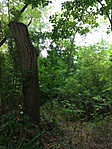 IMG_20180712_152146