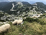 IMG_4608