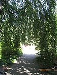 IMG_3221