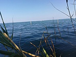 image003