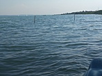 image005