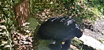 20180829_114834