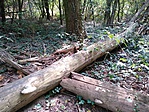 IMG_20180807_135353