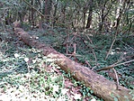 IMG_20180807_135357