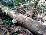 IMG_20180807_135405