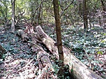 IMG_20180807_135408