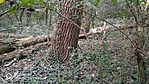 IMG_20180825_164816