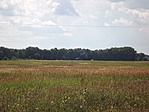 Ásotthalmi Csodarét 004
