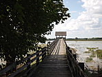 Mórahalmi bivalyrezervátum (Nagyszéksós-tó) 001