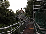 Makói lombkorona-sétány 003