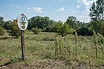_DSC5034