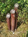 IMG_20180823_125115_HDR