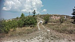 Visszafelé