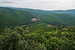 IMG_6149