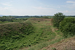 DSC09356