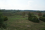 DSC09375