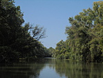 DSC05240