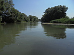 DSC05267