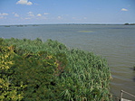 DSC05314