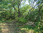 DSC06059